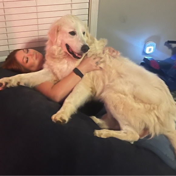 Meet your Posher, Amber - Picture 2 of 2